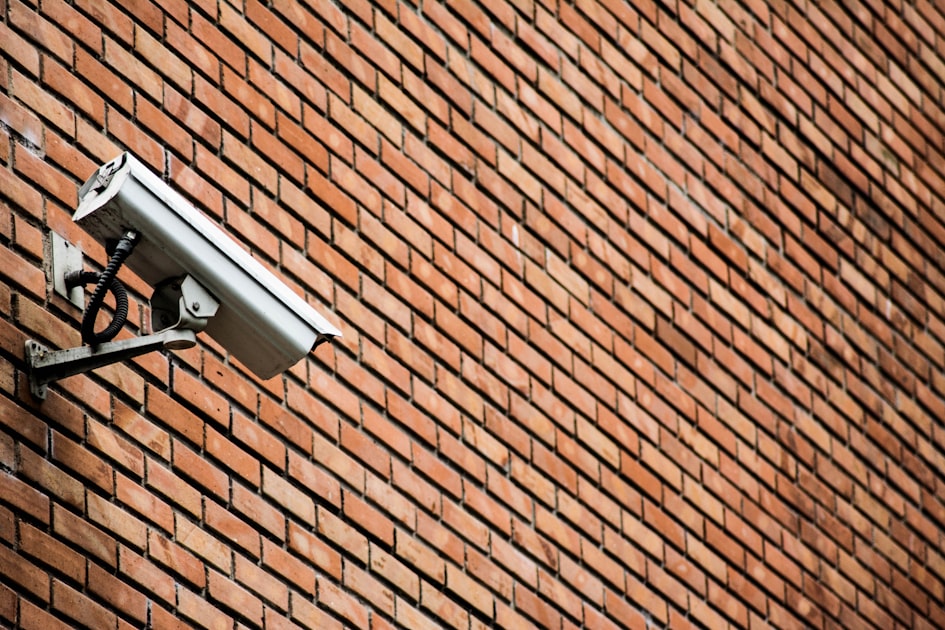 Maximizing Security with Motion Detection Features