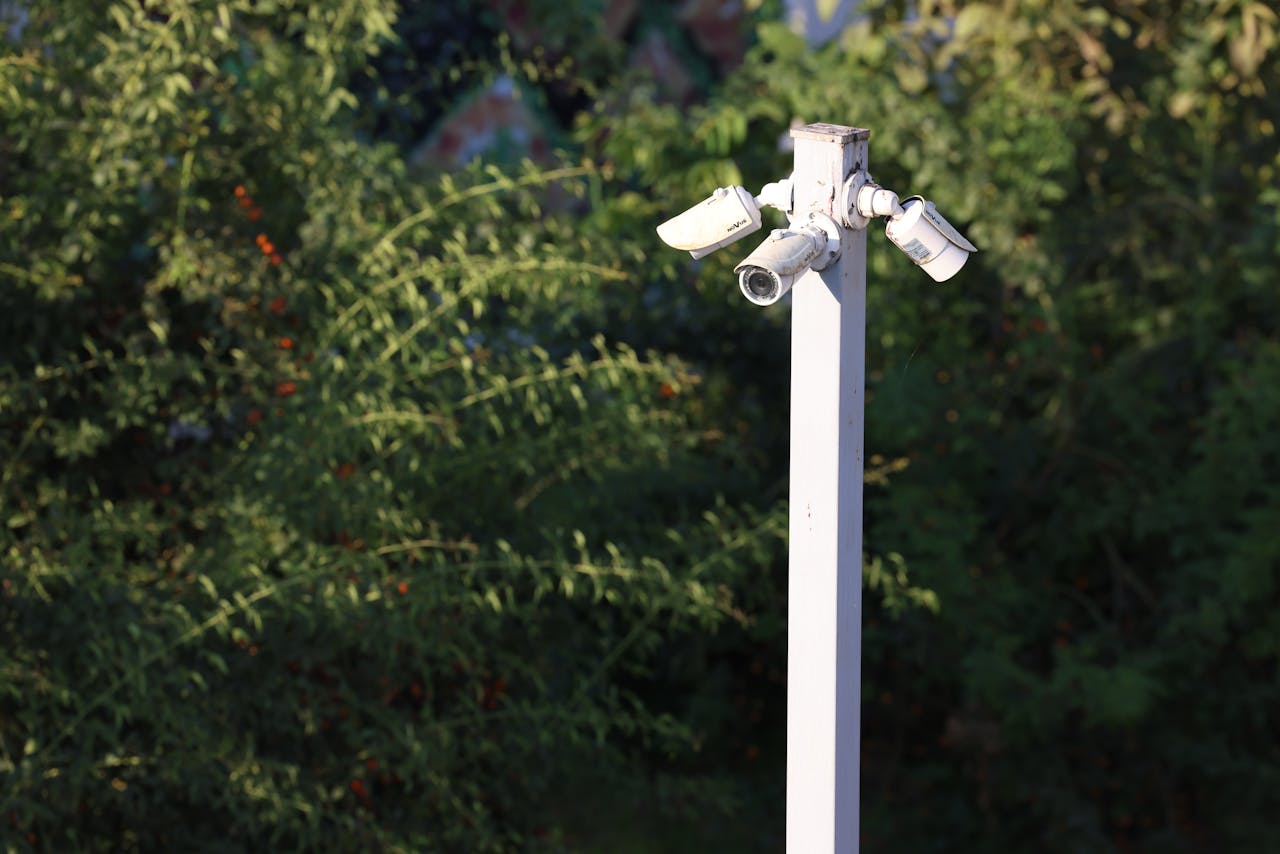 about-02 Cluster of surveillance cameras mounted outdoors amidst green foliage for public safety.